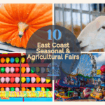 Collage of colorful scenes from seasonal and agricultural fairs, including a giant pumpkin, a sheep in a livestock barn, a balloon pop carnival game, and amusement park rides, with text overlay: '10 East Coast Seasonal & Agricultural Fairs.