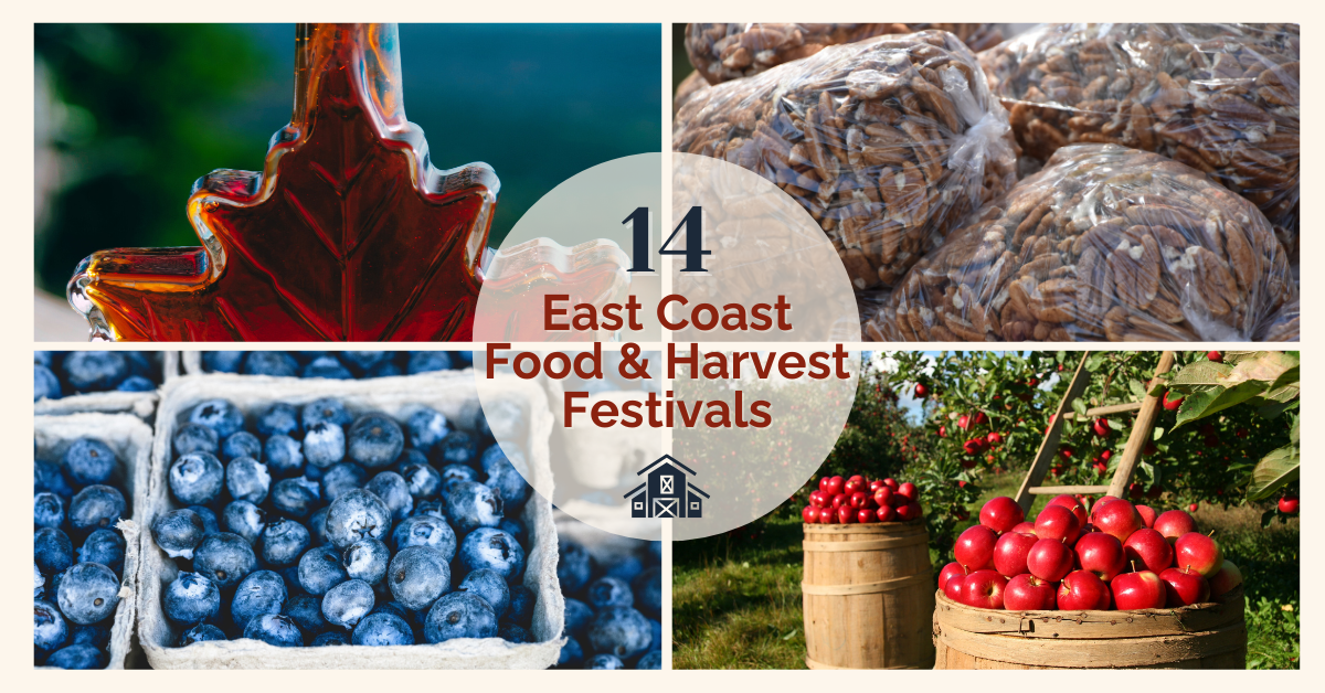 Baskets of apples, blueberries, pecans, and maple syrup celebrating East Coast food and harvest festivals for family road trips.