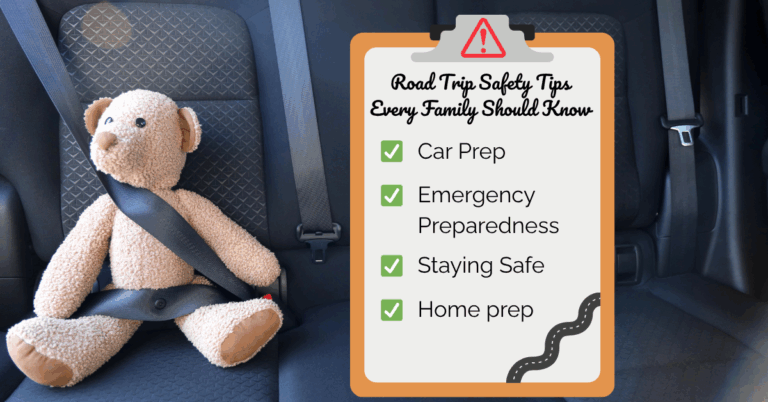 Teddy bear buckled into the backseat of a car—symbolizing family road trip safety